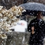 What kind of weather awaits Uzbeks in February?