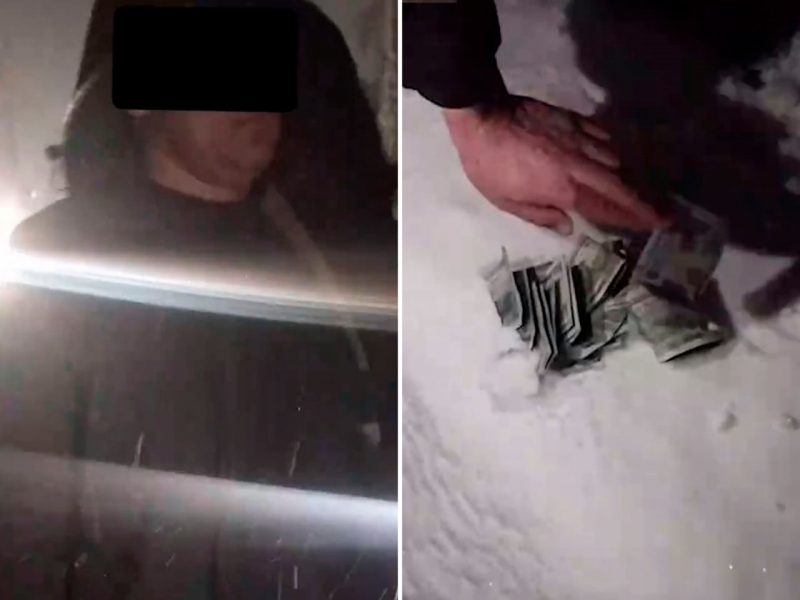 3 ming dollar evaziga daraxt kesishga ruxsat bergan ekologiya xodimi ushlandi (video)