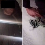 3 ming dollar evaziga daraxt kesishga ruxsat bergan ekologiya xodimi ushlandi (video)