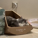 Tesla мушуклар Cybertruck’ининг савдосини йўлга қўйди