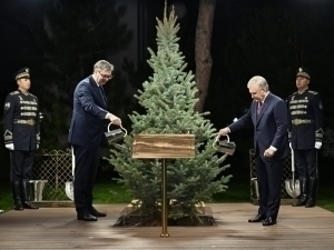 Мирзиёев Вучич билан дарахт экди