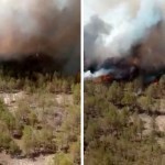 Qozog‘iston-Rossiya chegarasidagi o‘rmonda yirik yong‘in yuz berdi (video)