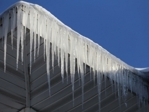 ФВВ огоҳлантириш билан чиқди