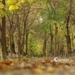 Temperatures to drop over this weekend
