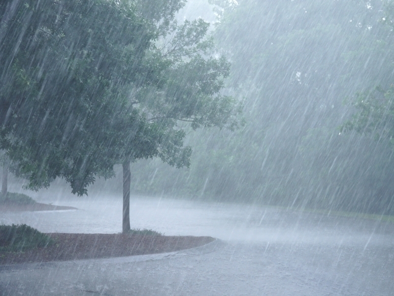 El Niño may bring heavy rainfall to Central Asia – UN