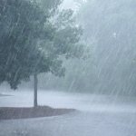 El-Nino Markaziy Osiyoga kuchli yomg‘ir olib kelishi mumkin – BMT