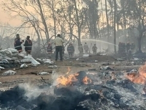Ҳиндистонда яна пиротехника заводи портлади. 13 киши ҳалок бўлди (видео)