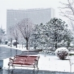 Yangi yilning ilk kunlarida ob-havo qanday bo‘lishi aytildi