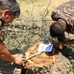Endi ekologik huquqbuzarlik sodir etganlar jarima bilan qutulmaydi