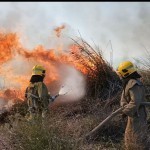 Fire breaks out in “Zarafshan” National Park