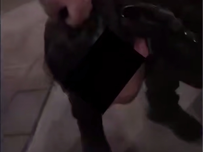 Man detained in Tashkent for injuring an acquaintance over an iPhone