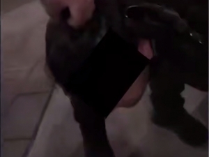 Тошкентда iPhone учун танишини жароҳатлаган шахс ушланди