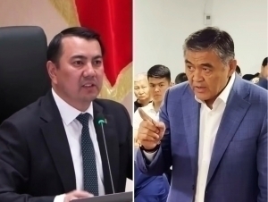 “75 lar xati”. Parlament spikeri Tashiyevni “shoqol” deb atadi (video)