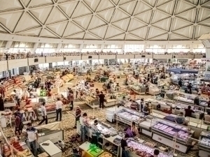 Тошкент бозорларида видео ва расмга олиш пуллик бўлади 