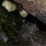 Bolgariyada 22 yoshli o‘zbekistonlik talaba cho‘kib ketdi (video)