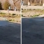 Samarqandda maktab o‘quvchilari majburiy mehnatga jalb qilinyapti