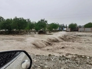Ўзгидромет тезкор огоҳлантириш билан чиқди
