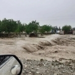 O‘zgidromet tezkor ogohlantirish bilan chiqdi