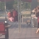 Toshkentda ayollar mushtlashdi (video)
