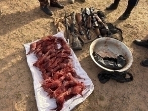 Сурхондарёда 13 бош ёввойи қуённи овлаганлар ушланди