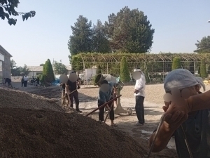 Teachers were allegedly involved in forced labor in Namangan