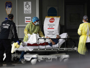 AQSHda to‘rt kishi xavfli zamburug‘dan vafot etdi 