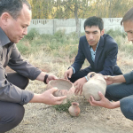 Қўрғонтепадаги қабристондан ноёб ашёлар топилди