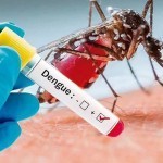 Argentinada denge virusi oqibatida 40 dan ortiq kishi halok bo‘ldi