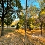 Weather forecast for November 2 announced