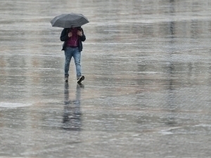 Эртага айрим ҳудудларда ёмғир ёғади