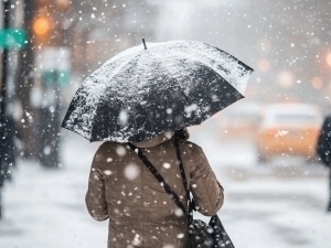 Ertaga qayerlarda qor yog‘ilishi aytildi