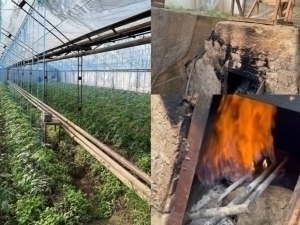 In Tashkent, greenhouses causing a loss of 934.9 million soums to the budget were uncovered