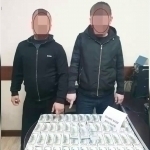 Illegal land sellers were apprehended in Tashkent and Bukhara