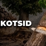 “Once the heart gets used to it…” Trees cut down again, once more in Almazar (video)