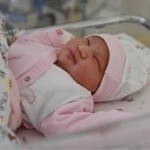 O‘zbekistonda tug‘ilish va nikohlar soni pasaydi