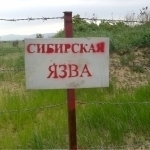 Qozog‘istonda kuydirgi aniqlandi. Qishloqlardan biri karantinga olingan
