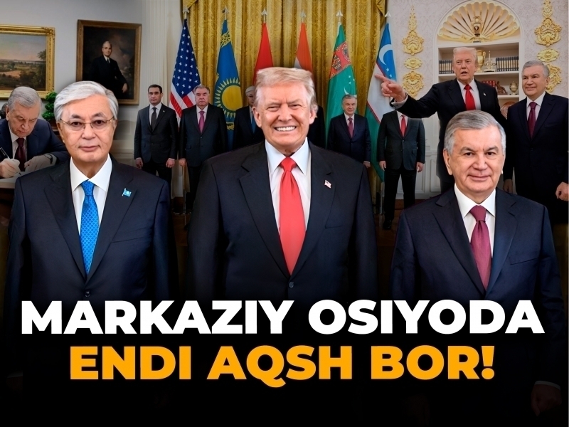 Porno kino kutubxonasi