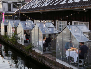 Голландиядаги ресторанларда мижозларни қабул қилишнинг антиқа йўли топилди
