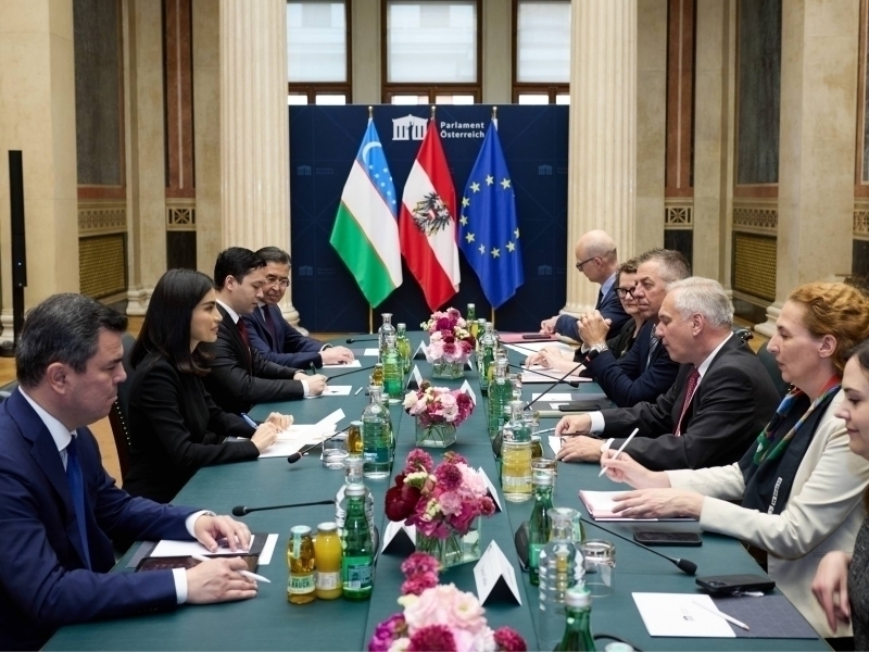 Saida Mirziyoyeva meets council chairs at Austrian Parliament