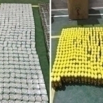 Almost 100,000 strong-acting pills found in home of previously convicted citizen in Bukhara