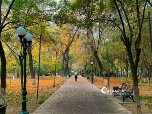 Эртага об-ҳаво қандай бўлиши айтилди