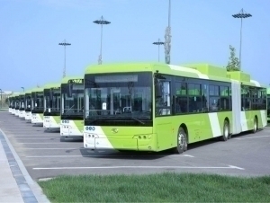 Тошкентга яна 1200 та автобус олиб келинади