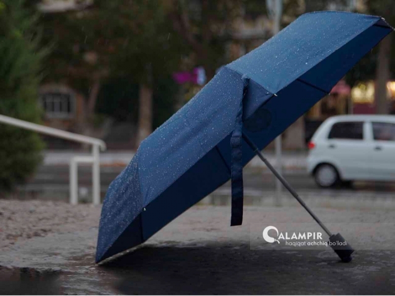 Ertaga qayerlarda yomg‘ir yog‘ishi aytildi