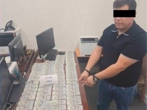 Давлат ерини $10 000 га сотмоқчи бўлган мансабдор ушланди (видео)