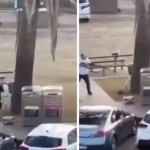 Сиднейдаги пляжда яҳудийлар ўққа тутилди (видео)