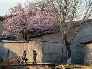 Эртадан ҳаво ҳарорати исий бошлайди