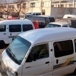 Buxoroda Damas va Labo’lar “ovi”. IIB shov-shuvga nuqta qo‘ydi (video)