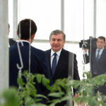 Maxsus tashkil etilgan inspeksiya xodimlari 60 foizgacha ustama oladi