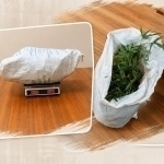Qariyb 5 kg kannabisni qopda tashiyotgan shaxs ushlandi