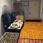 Sirdaryoda psixatrop qahvani chegaradan olib o‘tayotgan shaxs ushlandi